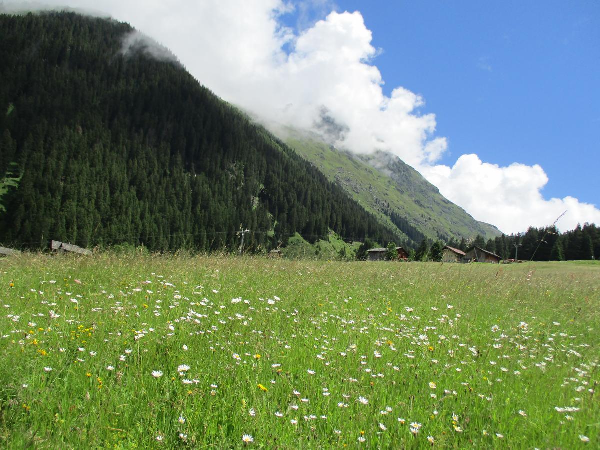 Hotel Silvretta Gargellen Dış mekan fotoğraf
